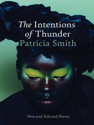 cover image of The Intentions of Thunder